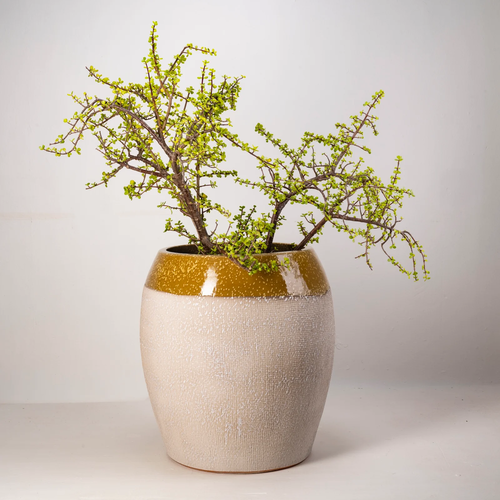 Toggle Large planter in French Roussillon with a textured pale body and glazed ochre rim