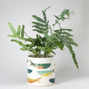 Milk Sardines Cylinder Planter