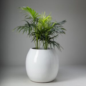 White Honey Large Planter