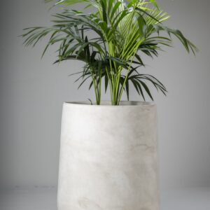 Moroccan White Olive Jar Planter