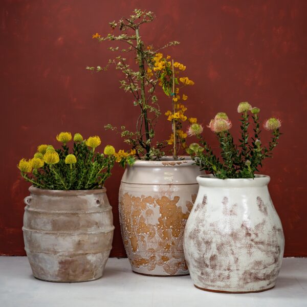Tuscan Large Planter Collection