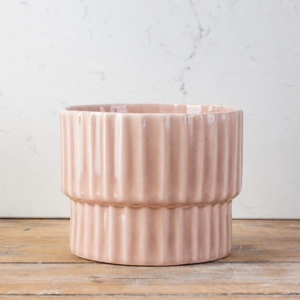 Wintergreen Cog Planter - Image 4