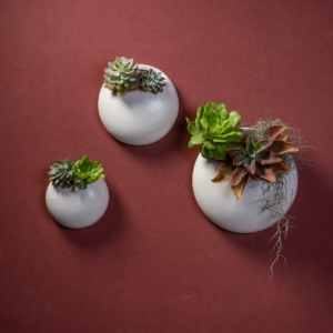 Matte Speckled Transparent Round Wall Planter
