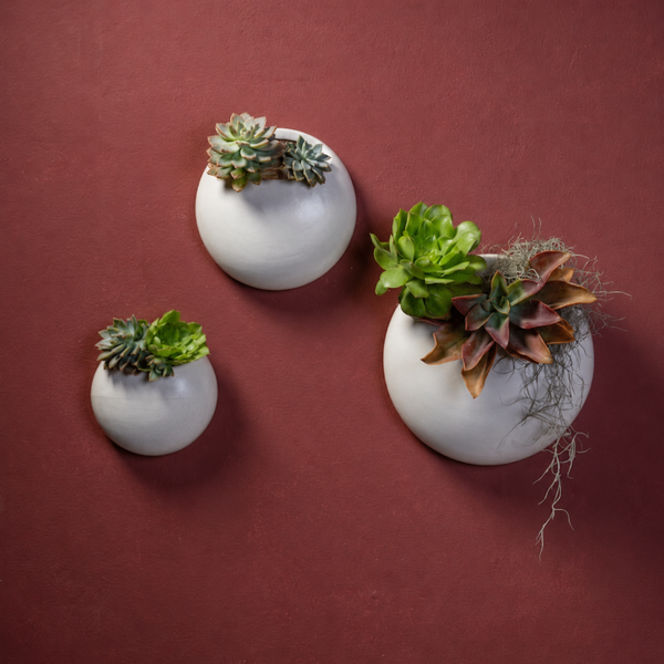 Matte Speckled Transparent Round Wall Planter