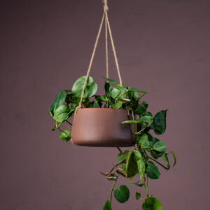Hudson Brick Red Hanging Planter