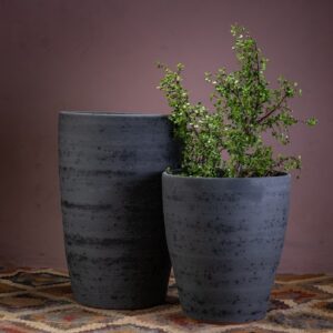Stella & Skinny Sally Aged Pepper Planters