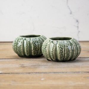 Burnt Sage Urchin Set T-light Holder