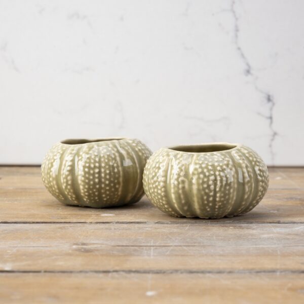 Burnt Sage Urchin Set T-light Holder - Image 2