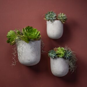 Moroccan White Pod Wall Planter