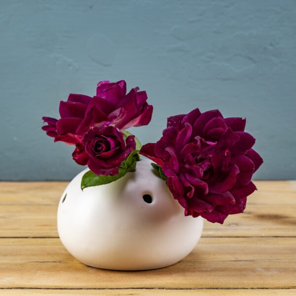 Flower frog milk