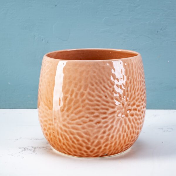 Pressed planter pumpkin - Image 2